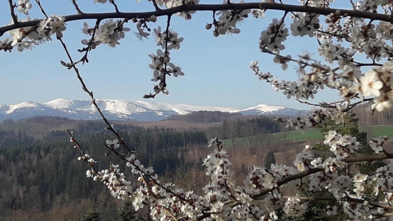 Kowalowe Skaly Spa&More Jelenia Góra Buitenkant foto